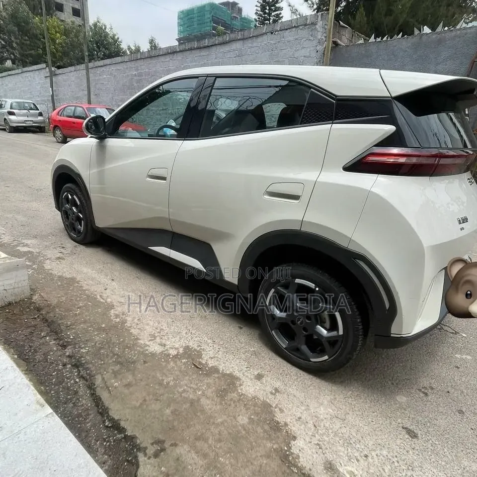 BYD Seagull 2024 White