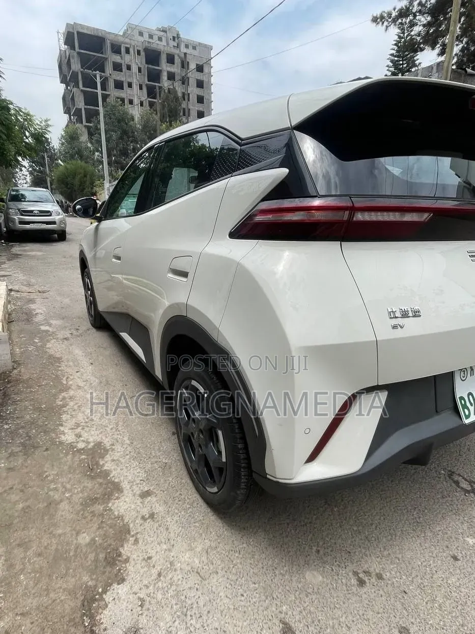 BYD Seagull 2024 White