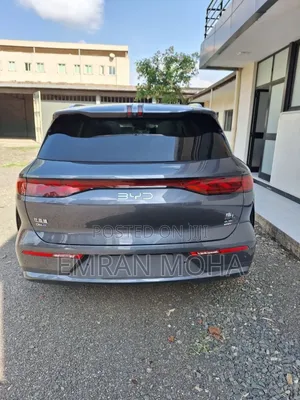 New BYD Tang EV 2025 Beige