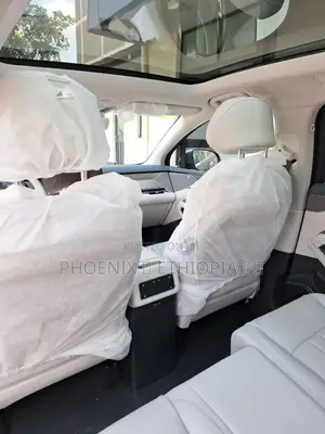 New BYD Tang EV 2025 Beige