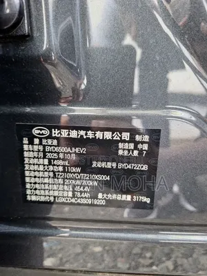 New BYD Tang EV 2025 Beige