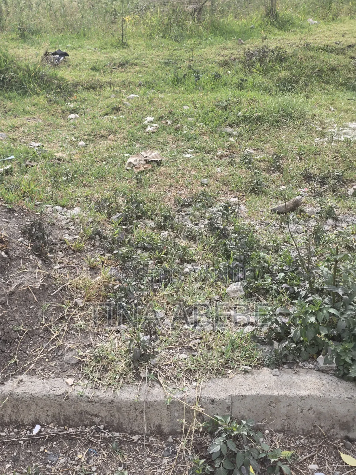አስቸካይ የሚሸጥ የሊዝ ባታ