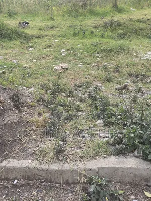 አስቸካይ የሚሸጥ የሊዝ ባታ