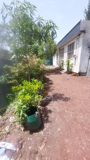 4bdrm House in Oromia, East Shewa for rent