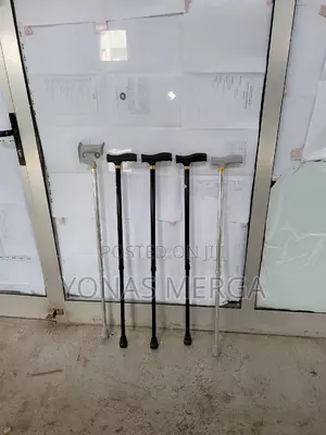 Walking Stick/Provides Stable Support During Daily Walks,Relieving Arm