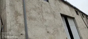 የሚከራይ መጋዝን