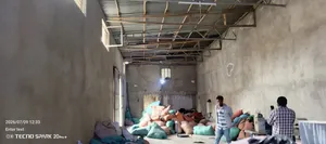 የሚከራይ መጋዝን