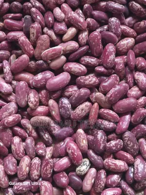 Red Kidney Beans