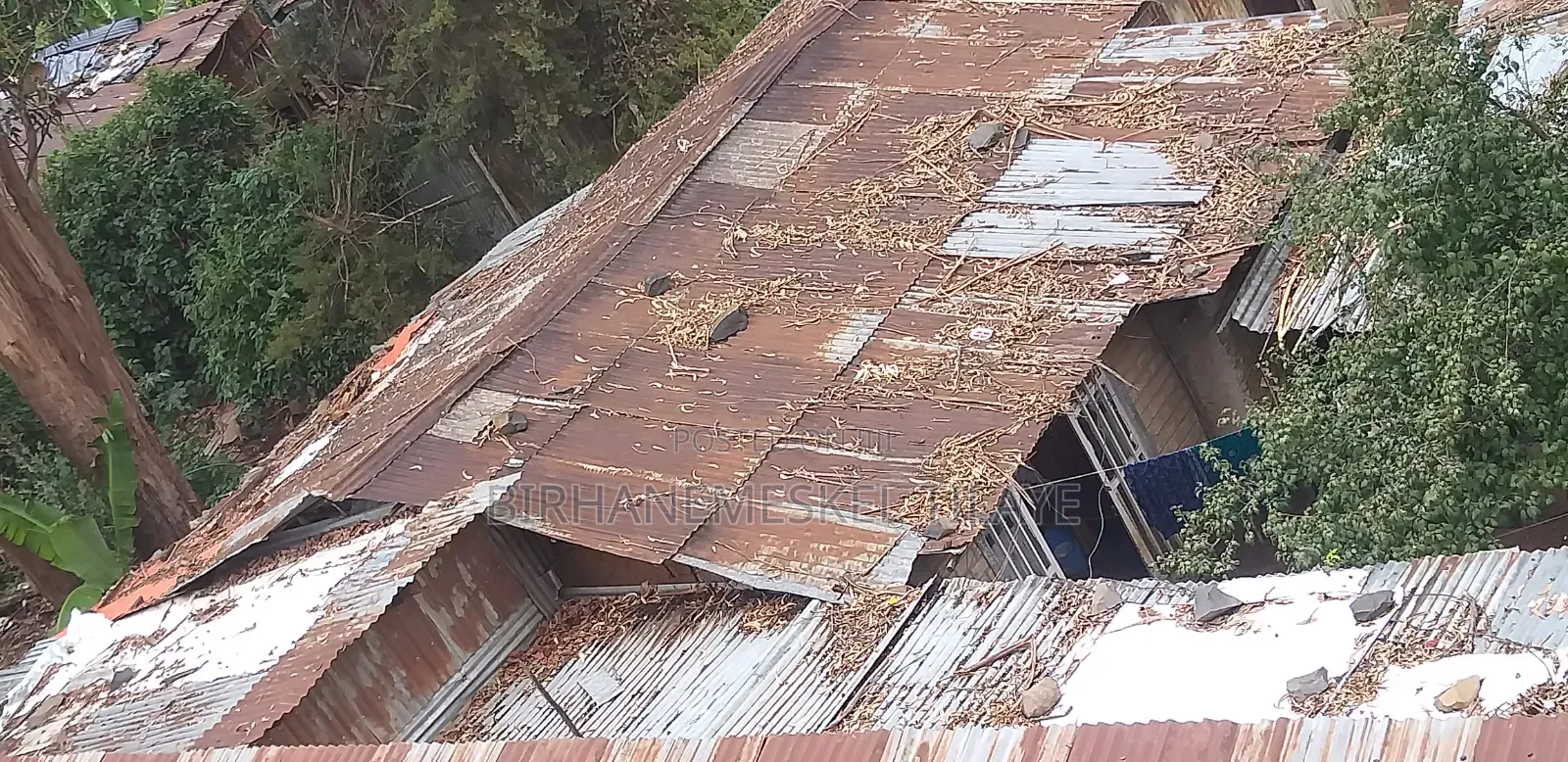 1bdrm House in House For Sale, Gullele for sale