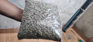 Bonga Buna ,Bonga Coffee የቦንጋ ቡና