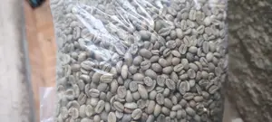 Bonga Buna ,Bonga Coffee የቦንጋ ቡና