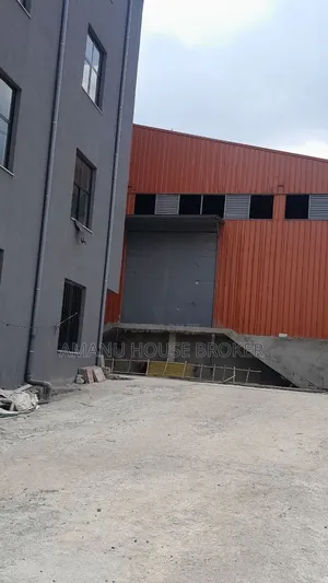 አስቸኳይ ለኪራይ የቀረበ በማይታመን ዋጋ 800sqm መጋዘን (Werehouse for Rent)