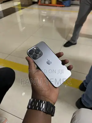 Apple iPhone 13 Pro 256 GB Gray