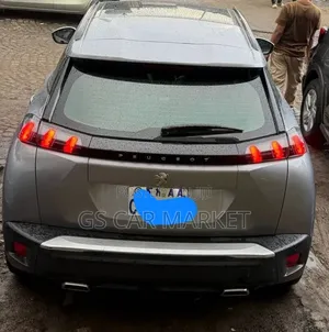 Peugeot 2008 2022 Gray