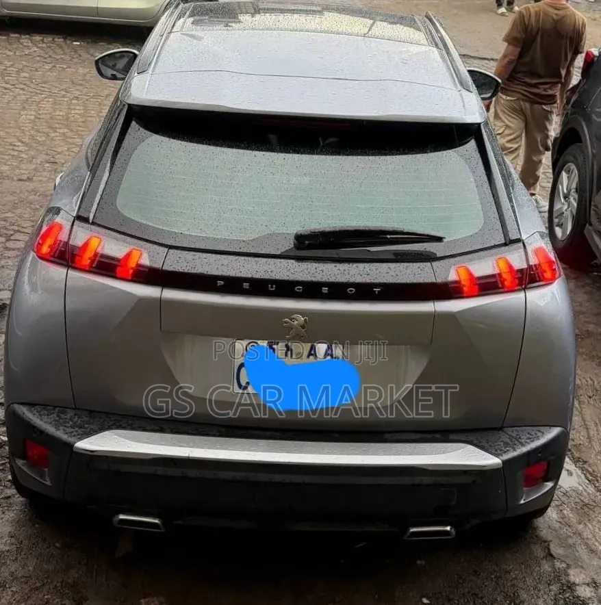 Peugeot 2008 2022 Gray
