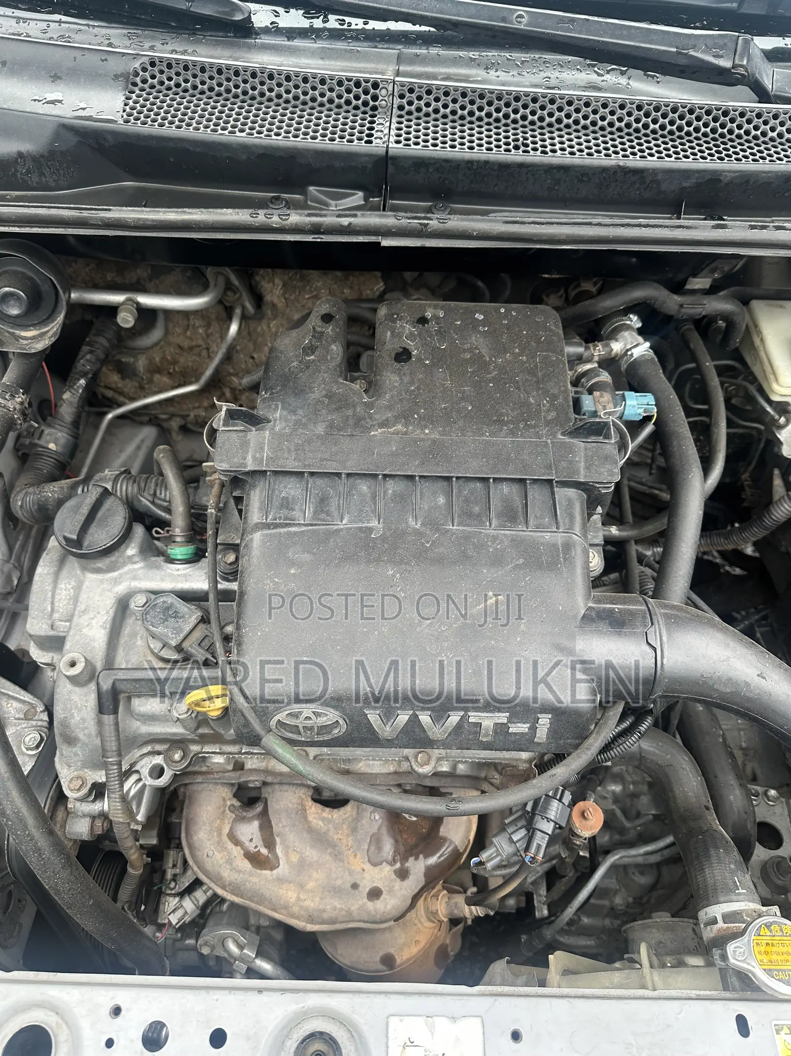 Toyota Vitz 1.0 FWD 5dr 2003 Gray