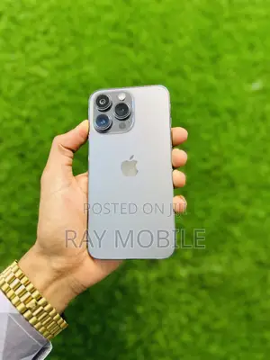 Apple iPhone 13 Pro 256 GB Gray