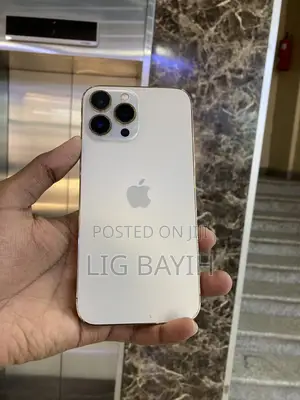 Apple iPhone 12 Pro Max 128 GB Silver