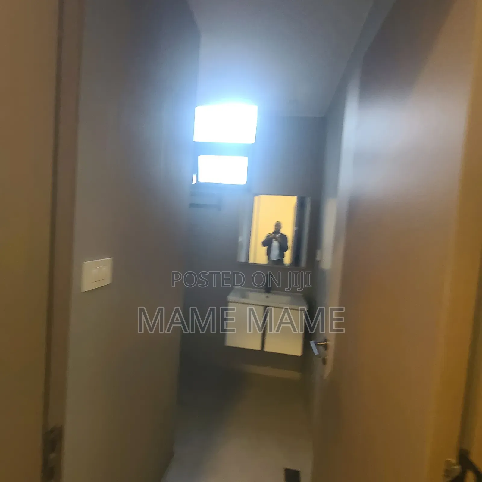 Furnished 1bdrm Apartment in Addis Abeba, Bole for rent