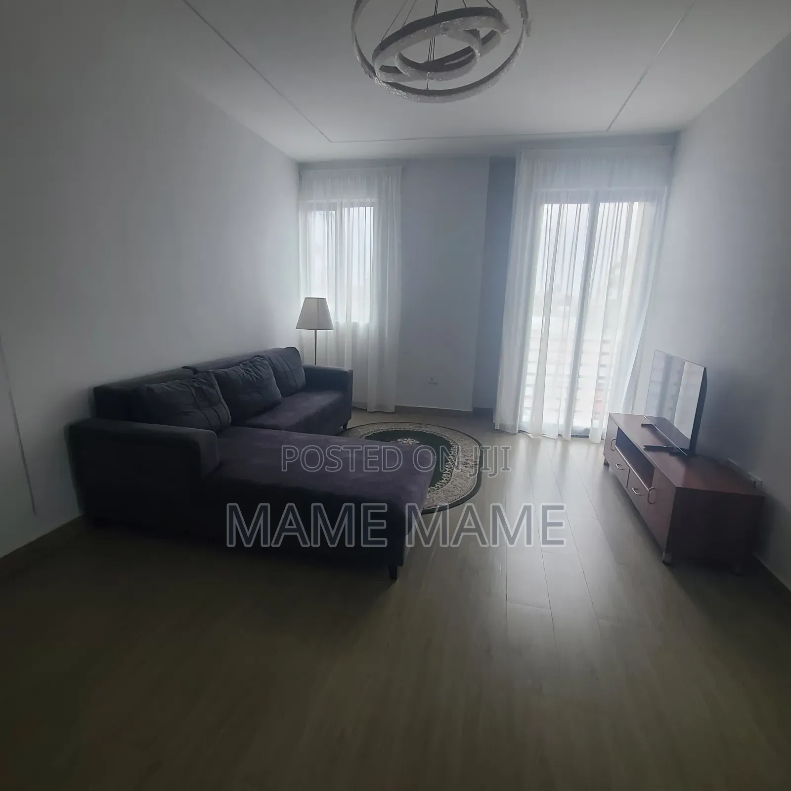 Furnished 1bdrm Apartment in Addis Abeba, Bole for rent