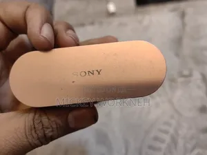 Sony Noise Cancelling Ear Earbuds