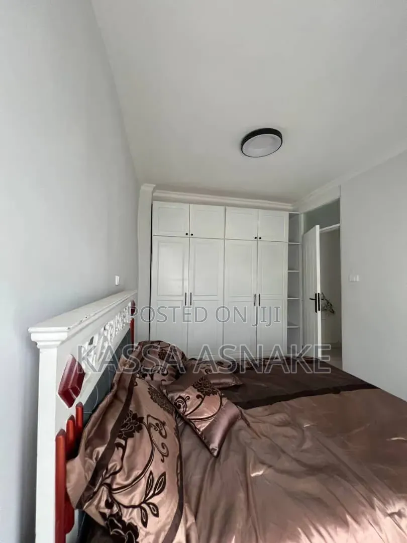 Furnished 1bdrm Apartment in Bole for rent