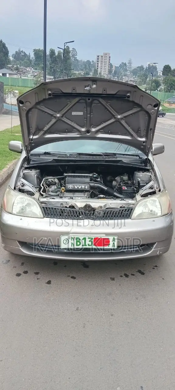 Toyota Platz 2001 Teal