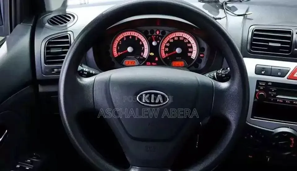 Kia Picanto 2008 Gray