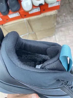 Edcd Waterproof Phruene Sneakers: