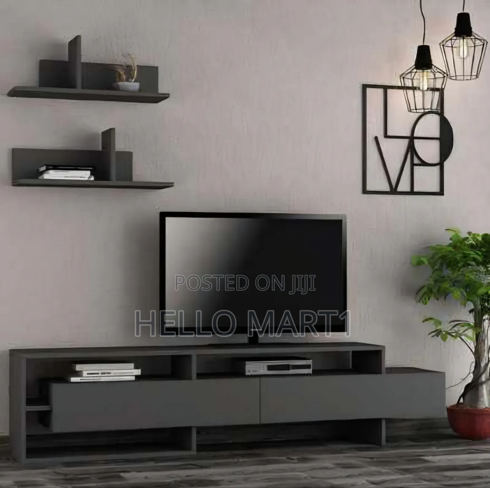 Tv Stand With a Wall Unit