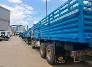 ሲኖ ከነተሳቢ ብዛት 5 ሽያጭ