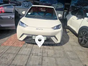 BYD Seagull 2024 White