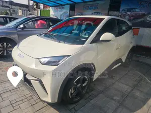 BYD Seagull 2024 White