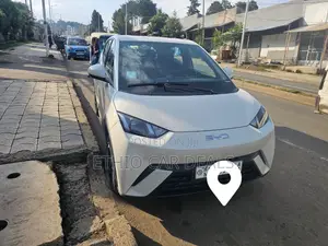 BYD Seagull 2024 White