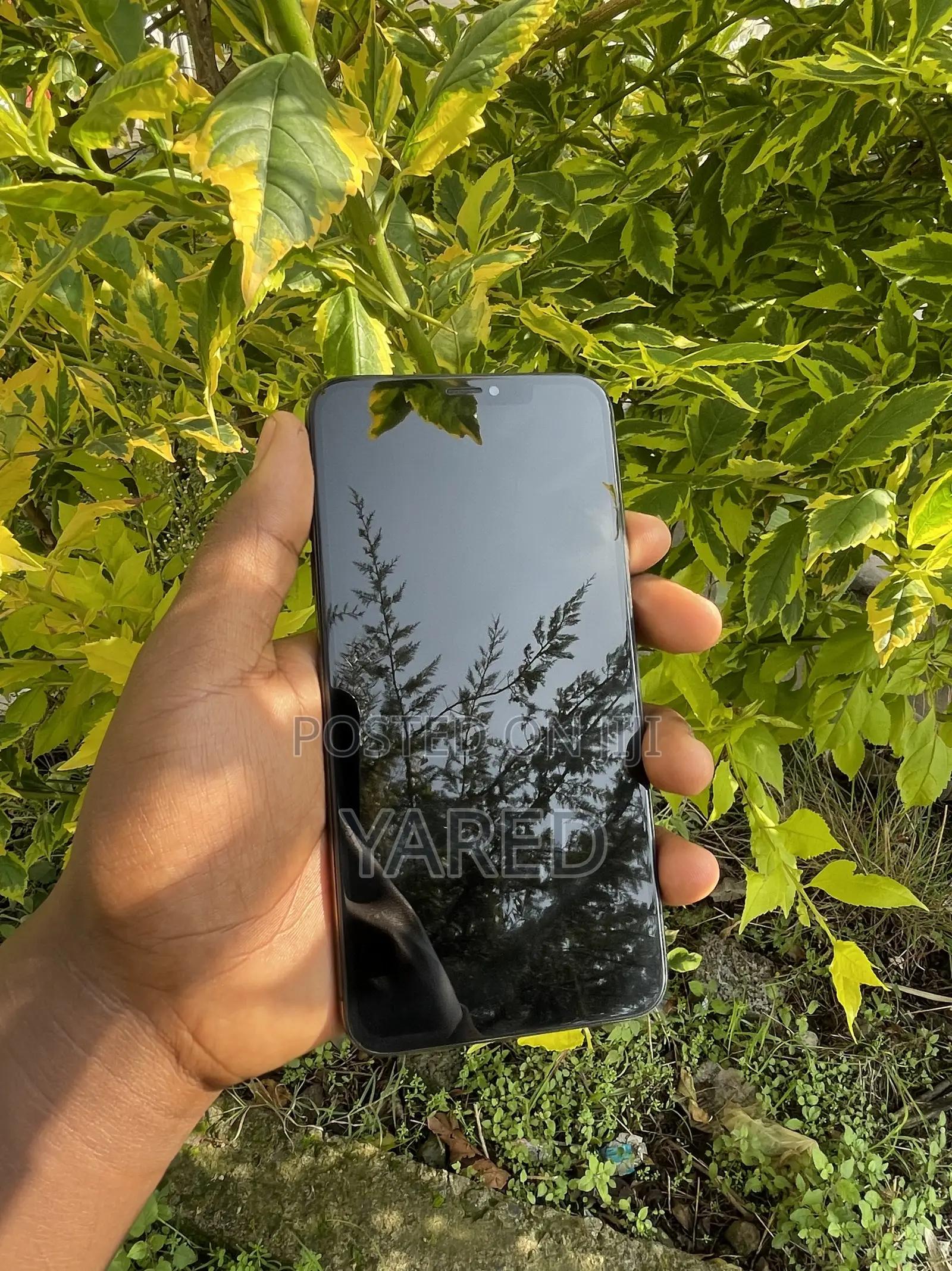 Apple iPhone XS Max 256 GB Gray