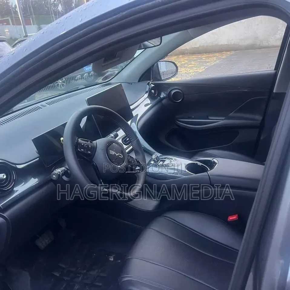 BYD E2 43 kWh 94 hp FWD 2025 Gray