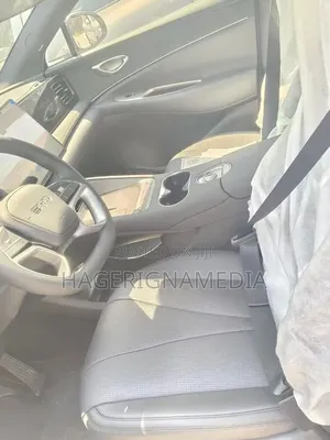 New BYD Sealion 06 EV 2025 Gray