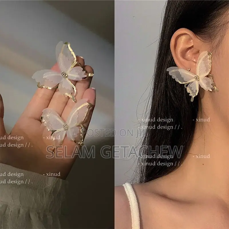 Earrings Jewlery