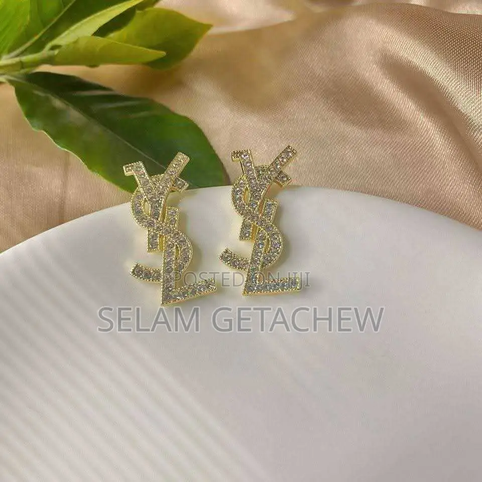 Earrings Jewlery