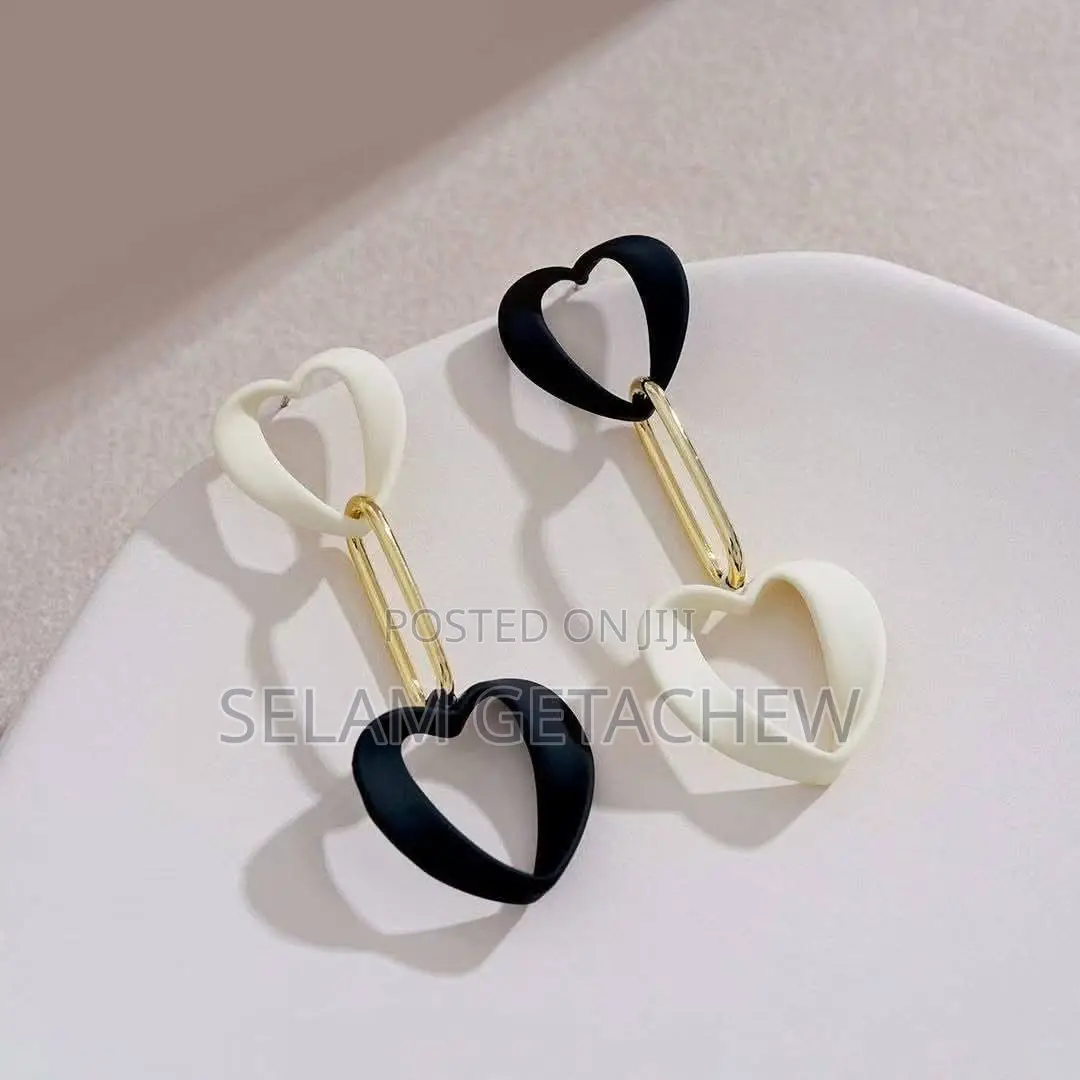 Earrings Jewlery