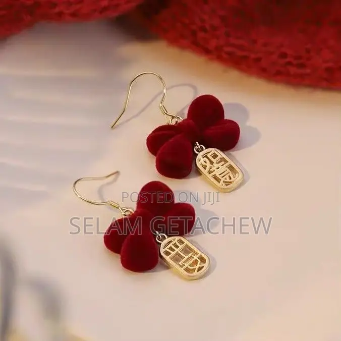 Earrings Jewlery