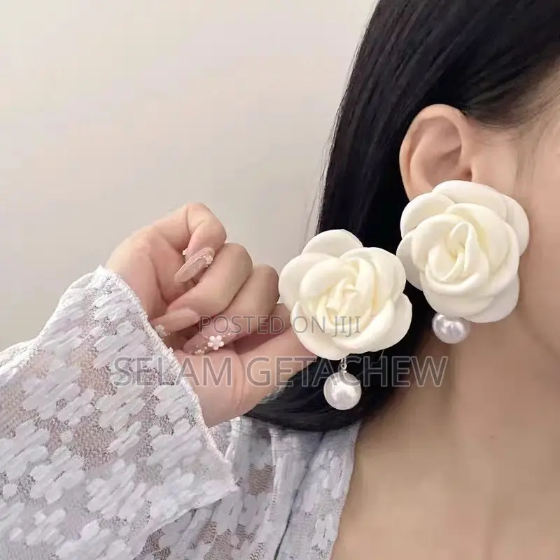 Earrings Jewlery