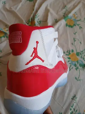 Jordan 11 Dubai Shoes