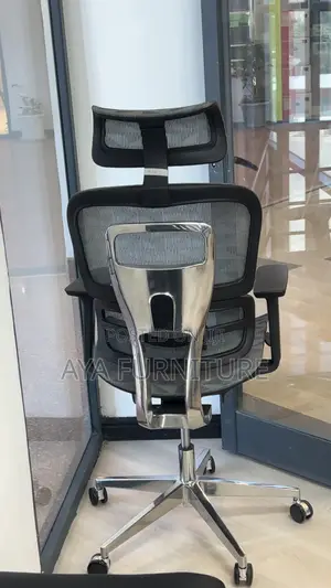 Ergonomic Chair