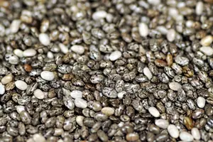 Organic Chia Seed About 4.5 Qt Available for Sell