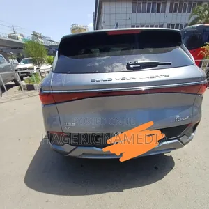 BYD Yuan Plus 2024 Gray