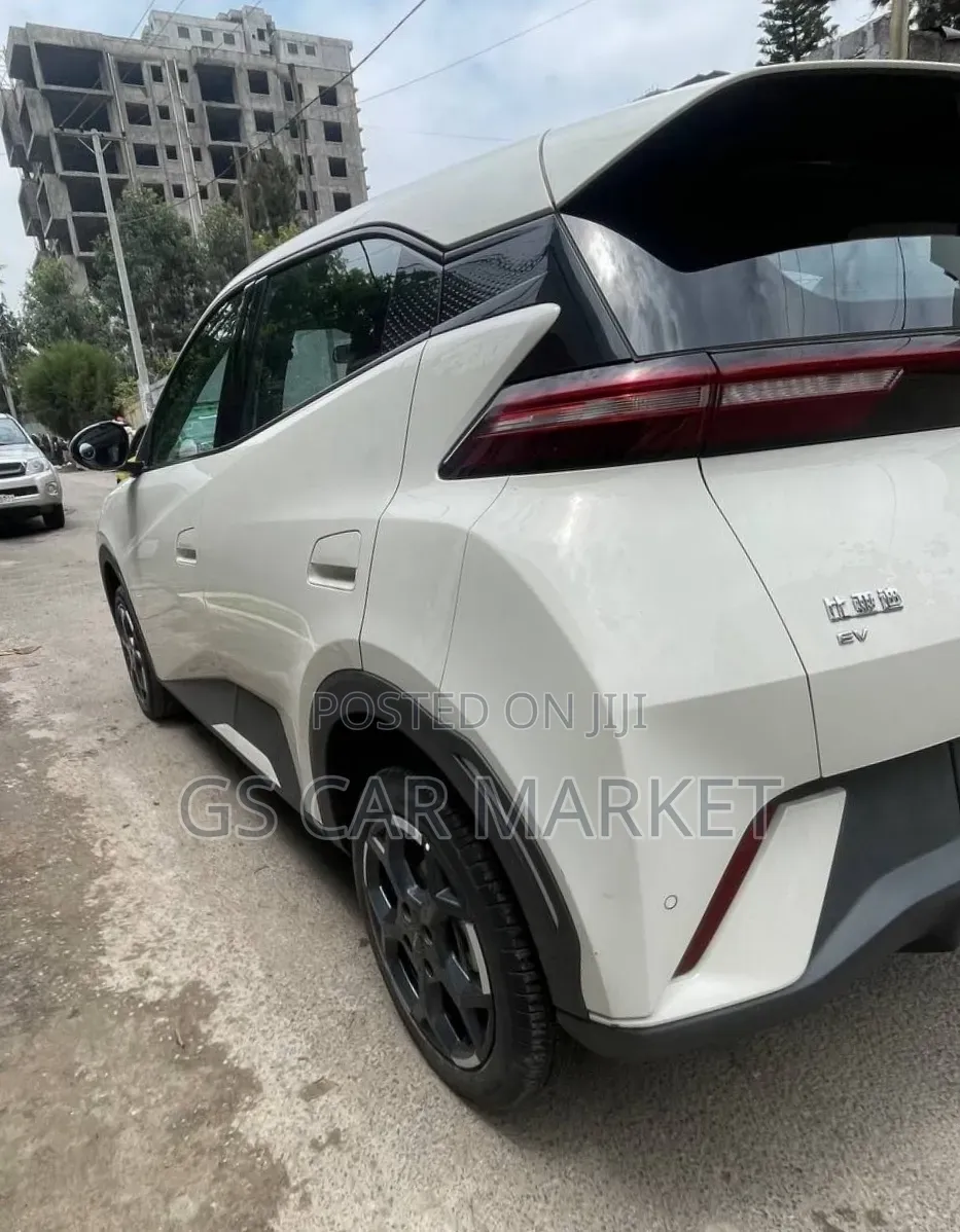 BYD Seagull 38 kWh FWD 2024 Ivory