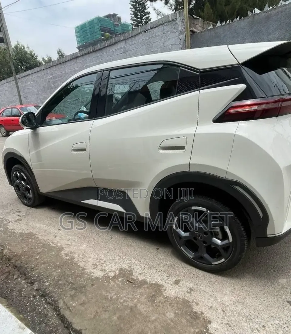 BYD Seagull 38 kWh FWD 2024 Ivory