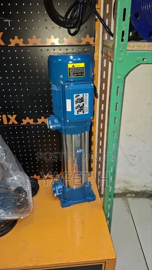 Vertical Labiyajo Pump 2.5hp and 3hp