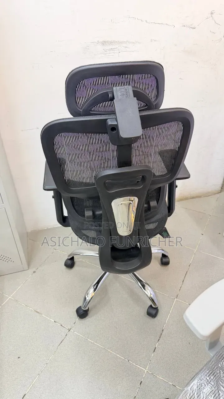 Eirgonomice Chairs